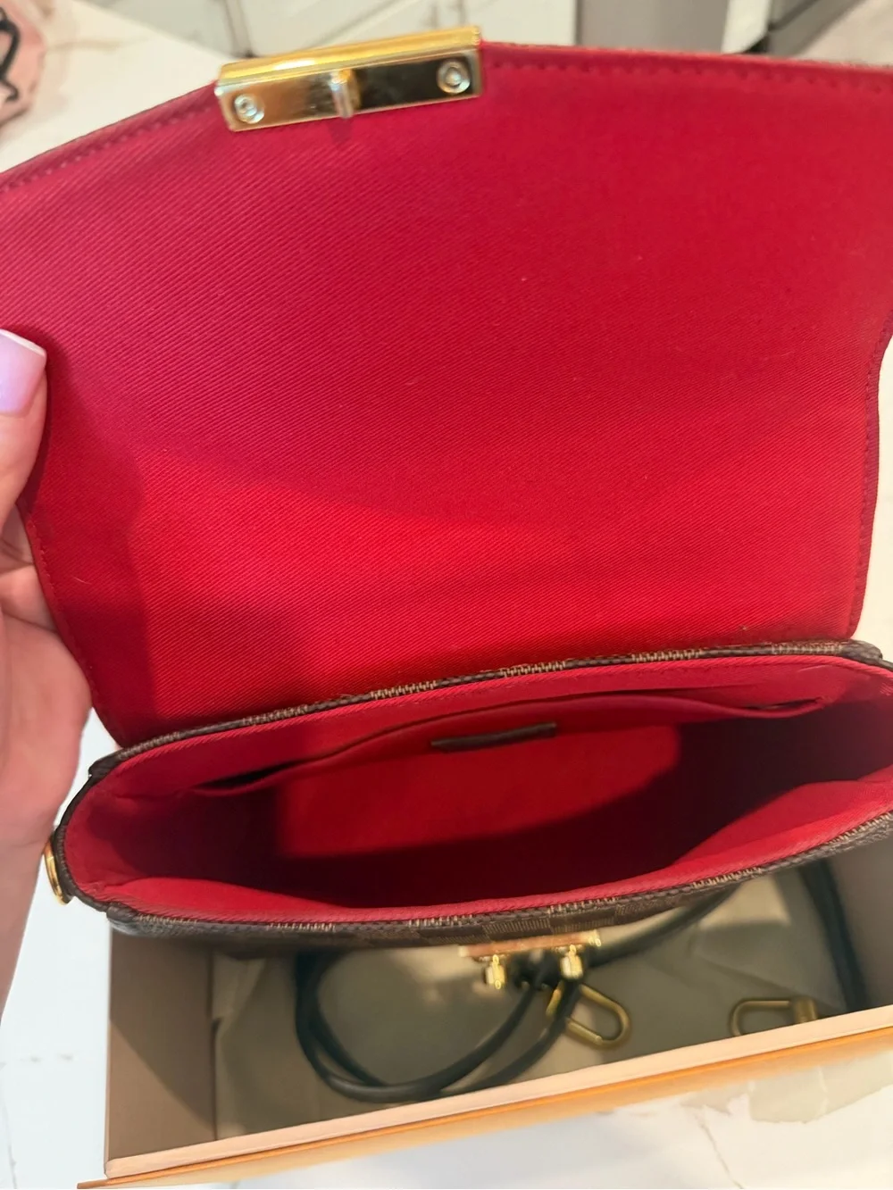 Louis Vuitton Damier Ebene Top Handle Bag in Brown
